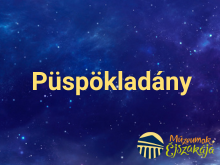 Püspökladány Múzeumok éjszakája MÁV-Start