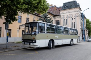 BPE-262 BPE-262